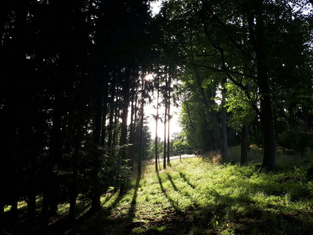 Olivin Hiker Huts Kytlice